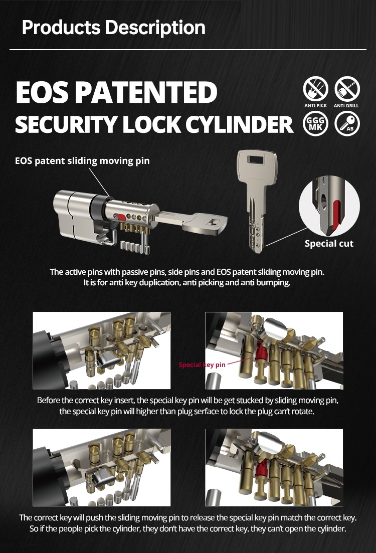 patent lock cylinder