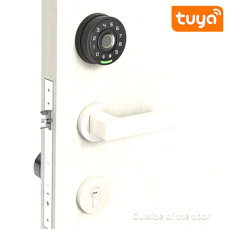 M1 (6) smart lock cylinder