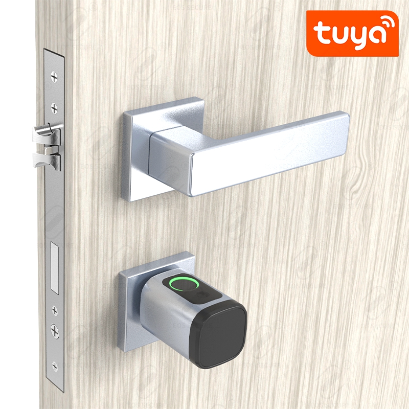 V1 (7) smart lock cylinder